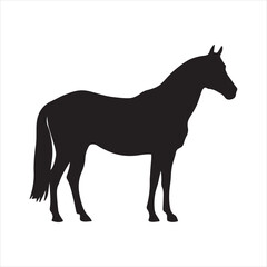 silhouette of a horse