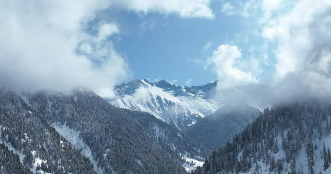snow covered mountains