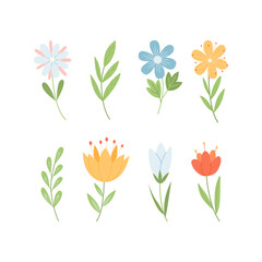 Hand drawn spring wildflowers set. Flowers and branches isolated on white background. Vector illustration