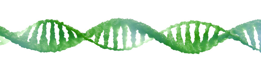 Organic Green DNA Strand – Isolated Molecular Helix (Transparent Background)