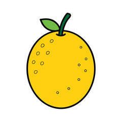 Yellow Passionfruit frouit vector illustration