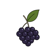 bunch of grapes isolated on white