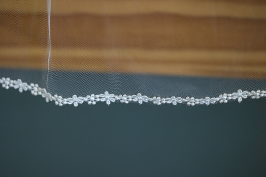 Brides beautiful vail white with inlays