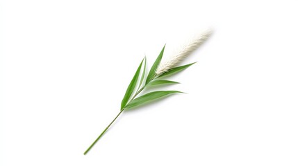 Naklejka premium Elegant Green Leaves with White Flower on Minimalist Background