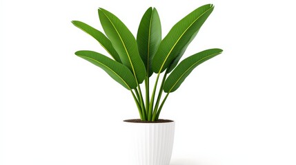 Lush Green Indoor Plant in Modern White Pot on Bright Background