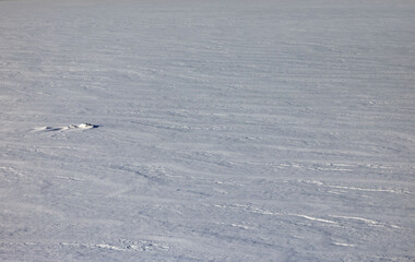 Lines in snow on frozen Alaskan lake