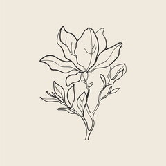 Hand-Drawn Magnolia Flowers. Elegant Floral Botanical Illustration. Black and White Vector Design.