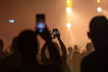crowd at concert