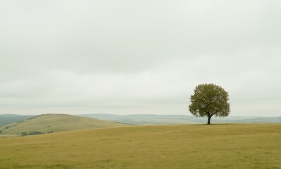 Solitary tree on a vast, pale green field under a muted sky.