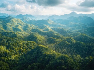 Fototapeta premium Vibrant green tropical rainforest with misty mountain peaks in the distance.