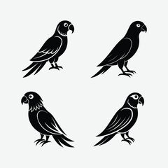 Obraz premium Stunning Parrots Bird Silhouette Vector Art on a white background. Ideal for printable projects, digital downloads, and creative Designs.