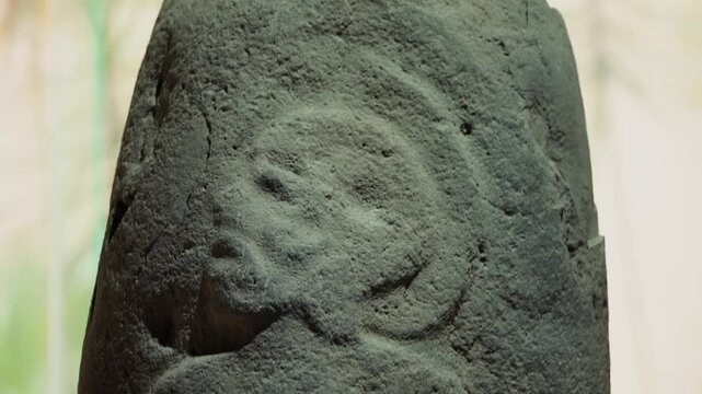 Ancient Olmec petroglyphs carved into stone, showcasing intricate symbols and sacred imagery from Mesoamerican civilization.