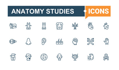 Anatomy Studies modern icons set. Contains such icons as body, system, tongue, organ, leg, dental, spinal and more. Minimalistic icon. Solid line editable vector illustration.