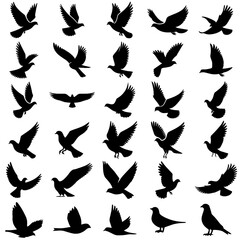 set of silhouettes of birds	