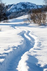A serene snow-covered mountain trail with tracks of sled or snowboarding activity, showcasing the winter landscape for outdoor sports and adventure enthusiasts.