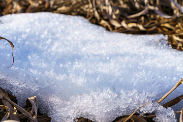 Frost-Covered Ground with Dried Grass Stems in Stangenhagen