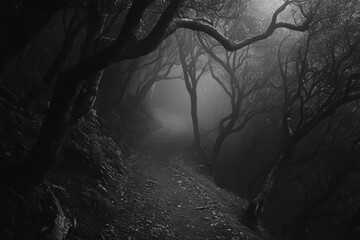 Desolate nighttime forest trail with mist, wet moss, and sparse light illuminating the eerie pathway.
