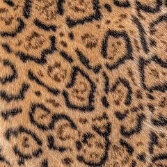 real animal texture print ready textile pattern