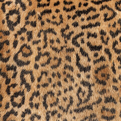 real animal texture print ready textile pattern