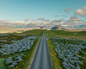 Aerial view of Ingjaldshólskirkja church on a hill, surrounded by lupine fields in Snæfellsnes Peninsula, West Iceland.