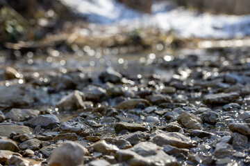 Shallow Stream Flowing Over Wet Rocks in Early Spring