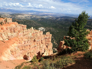 Pink Hoodoos Overlooking Bryce Canyon’s Forested Valley