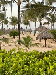 tropical beach with palm trees
