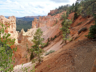 Sloping Orange Cliffs with Pines in Bryce Canyon