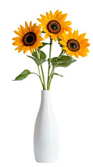 Tall vase with sunflower isolated on transparent background