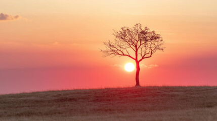 Solitary tree silhouetted against blazing sunset sky, casting dramatic minimalist landscape with peaceful atmospheric intensity