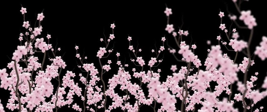 abstract sakura background
