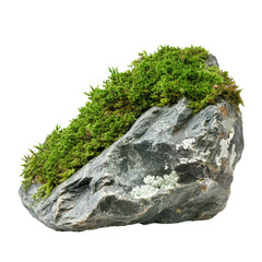Lush green moss growing on a rock isolated against a clean transparent background for a serene natural look, Green moss on rock, isolated transparent background