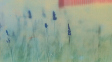 Dreamy lavender field with soft focus and pastel hues in tranquil countryside landscape