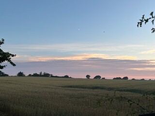 sunset in the field