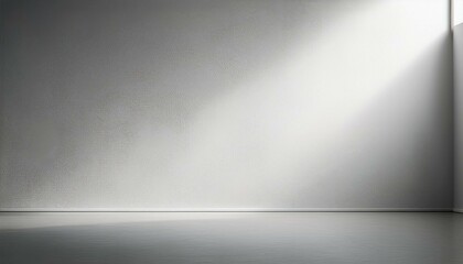 white empty room wall with soft light and copy space empty white wall background bright minimalistic empty abstract studio room with gray wall and concrete floor
