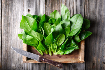 Fresh green baby spinach leaves with water droplets in wooden box with old rustic knife. Food...