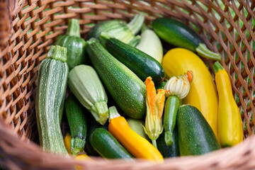 Fresh different kind zucchini and squash in wicker basket with zucchini flowers. Aesthetic food photography