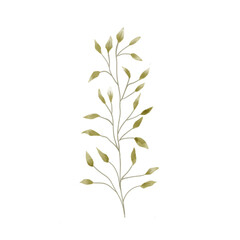 set of leaves with watercolor illustration