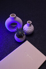 Artistic still life with ceramic vases, a succulent plant, and colored pencils arranged on a dark textured surface. The modern design and pastel tones create a harmonious and creative atmosphere.