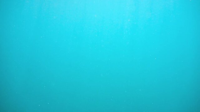 Underwater video of a clear turquoise tropical ocean with a calm surface and sunlight shimmering through.