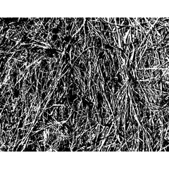 Dry grass, background, texture №1 © AleksandrKolobashkin