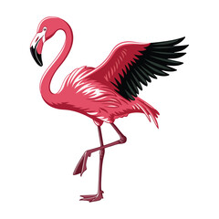 A vector illustration of a single flamingo with bright pink feathers and a long