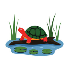 turtle on the green grass