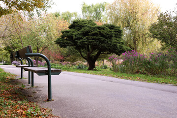 Alley and bench in Donaupark, Vienna, Austria - selective focus