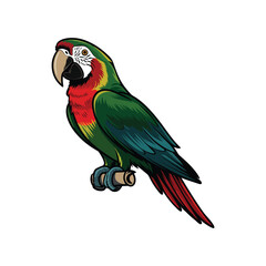 A vector illustration of a majestic parrot in a bold, colorful style with crisp, clean lines and fresh details.