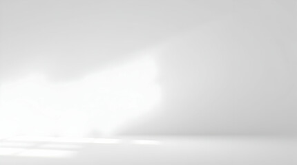 Simple White Backdrop