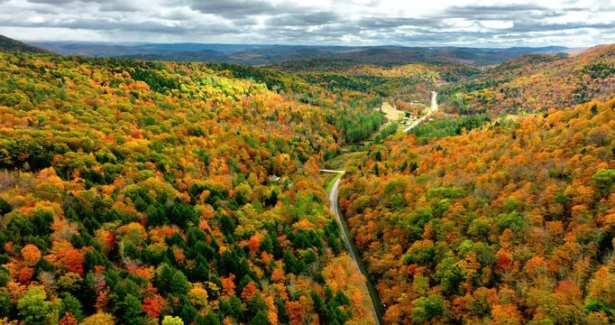 Road trip fall aerial background. Drone flying above mountain road surrounded by beautiful vibrant colorful forest on cloudy day in USA.