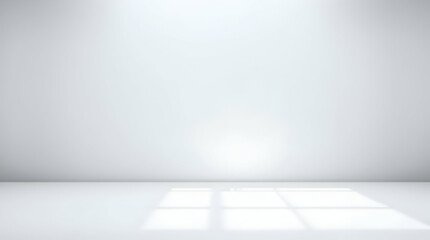 Fototapeta premium Elegant White and Gray Gradient