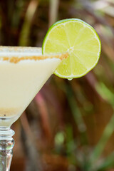 Creamy lime cocktail with a graham cracker rim and fresh lime garnish