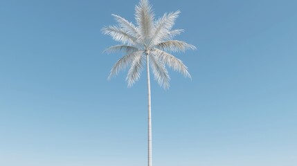 Obraz premium White palm tree against clear blue sky. Minimalist summer design